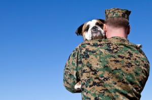 Military Man Hugs Dog