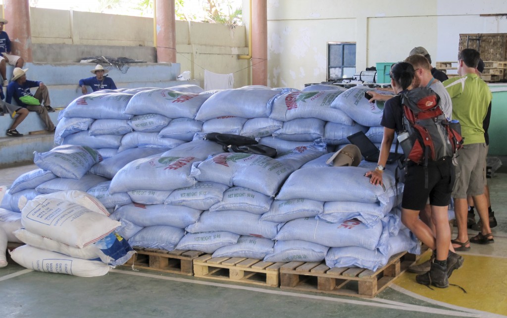Sacks of rice waiting for distribiution by aid workers