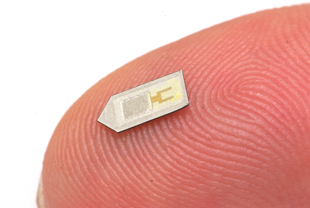 Biodegradable sensor used to help monitor brain injuries. 