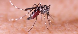 First Responders Denied Workers’ Compensation in Zika Case